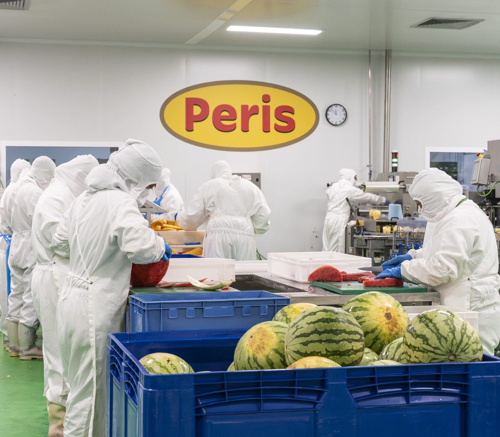 Equipo trabajando la sandía en la sala blanca certificada ISO 7 de Valencia