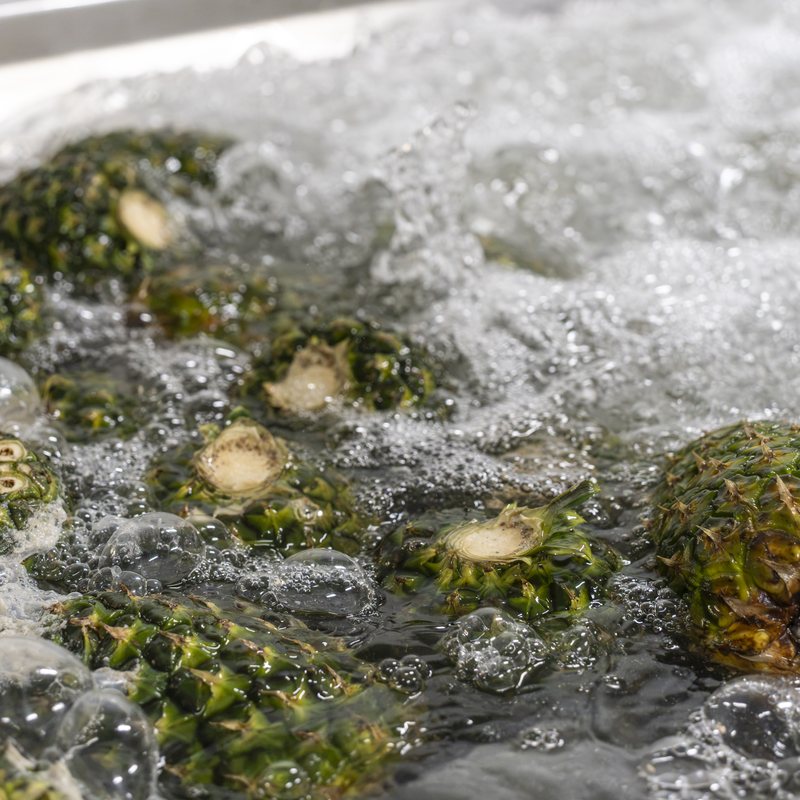 Piñas en el baño de lavado y desinfección antes del procesado