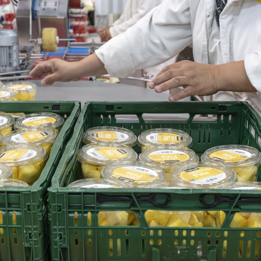 Cajas de tarrinas de piña preparadas para la expedición